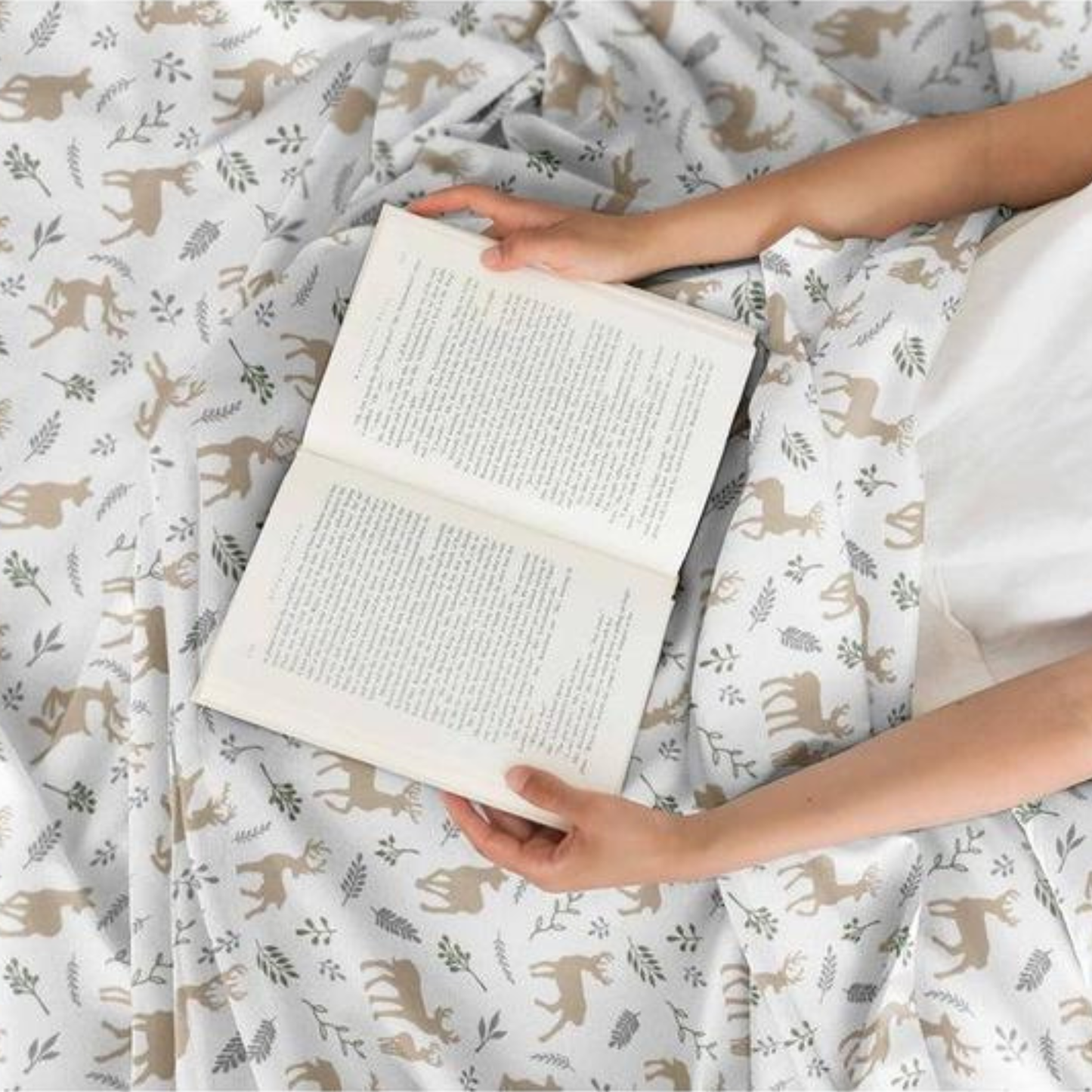 Holiday 4-Piece Sheet Set