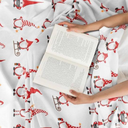 Holiday 4-Piece Sheet Set